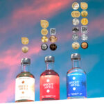 Gin tasting pack with awards, 3 200ml gins